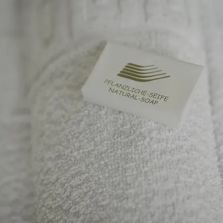 Zatkuv Dum 3* Ceske Budejovice