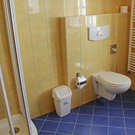 Hotel Zatkuv Dum Czeskie Budziejowice