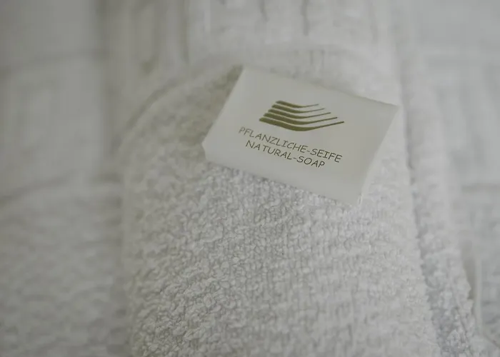 Zatkuv Dum 3* 체스케부데요비체